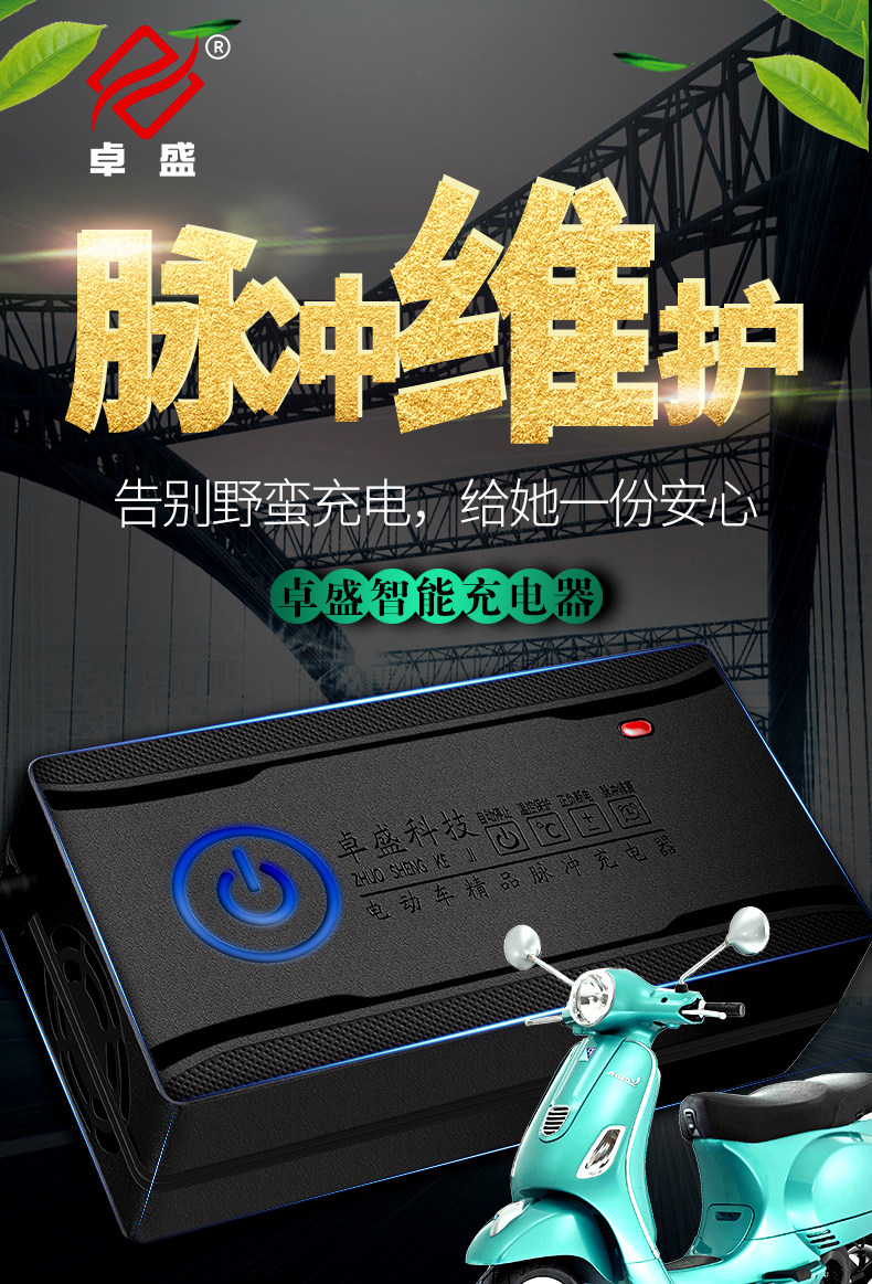 自动断电智能脉冲 电动车电瓶充电器 爱玛雅迪通用 图1
