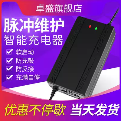 Automatic shutdown electric car battery charger 48V12AH20AH60V64V72V New Day Emma Yadi Bell