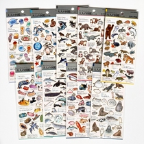 (现货)日本kamio japan 大人的图鉴海洋生物 烫金贴纸 手帐素材
