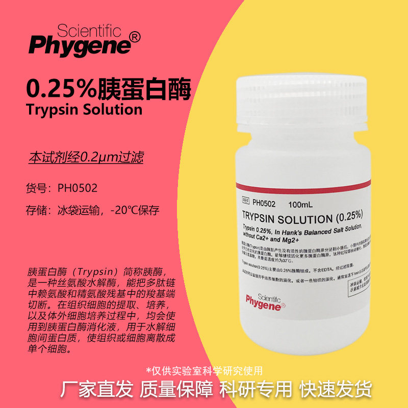 0.25%胰酶细胞消化液 不含EDTA 胰蛋白酶溶液 [PH0502 PHYGENE]