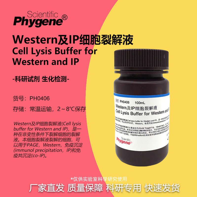 Western及IP细胞裂解液 送PMSF 100mL 免疫沉淀 [PH0406 PHYGENE]