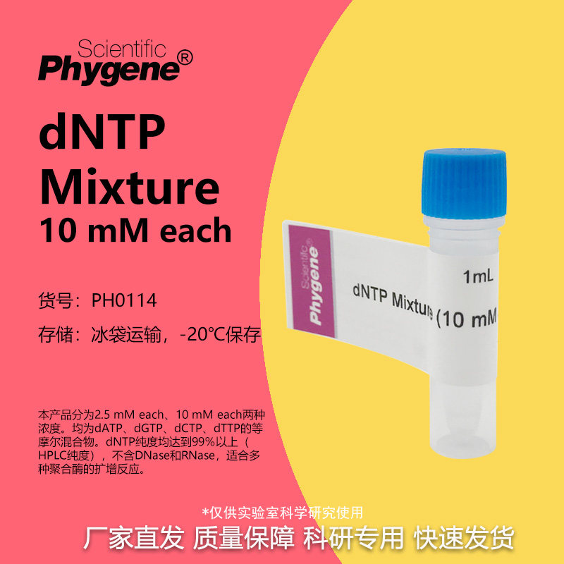 dNTP Mixture (10mM each) 超纯 [PH0114 PHYGENE]