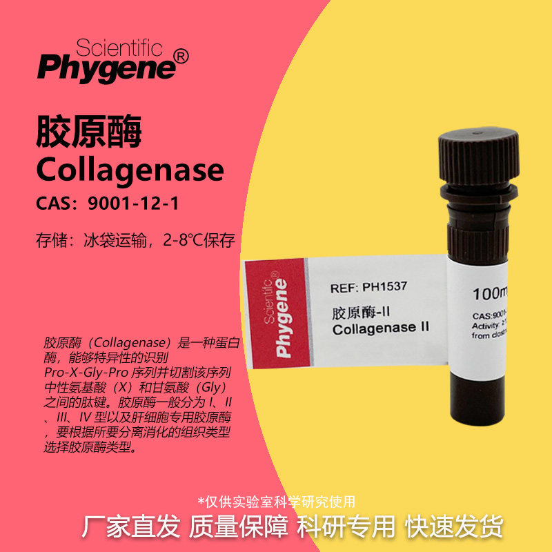 胶原酶Ⅱ型 Collagenase Ⅱ 科研实验 100mg [PH1537 PHYGENE]