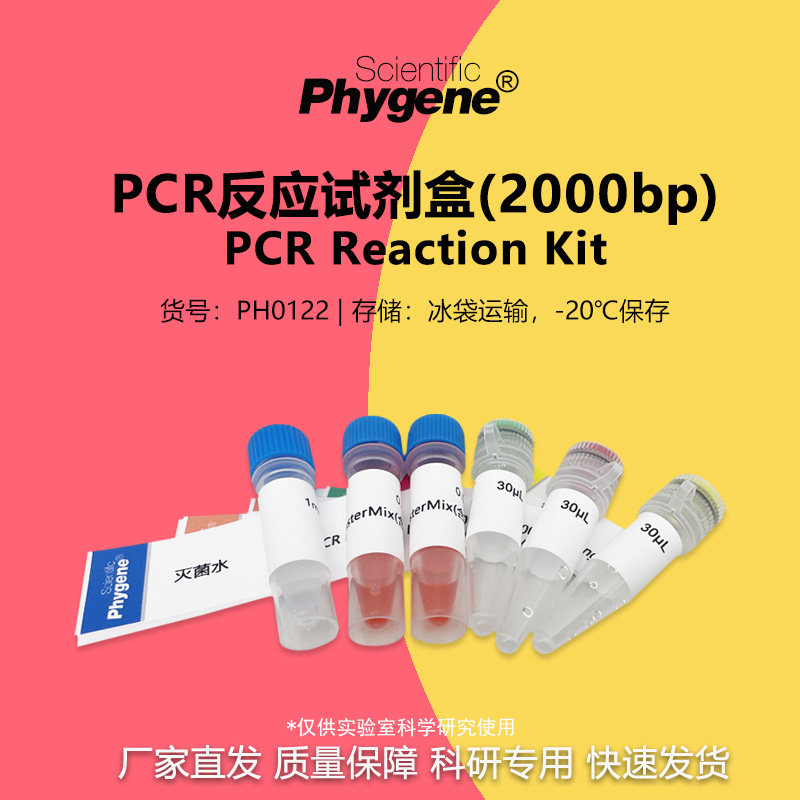 PCR反应试剂盒(2000bp) 20T PCR试剂盒实验教学 [PH0122 PHYGENE]