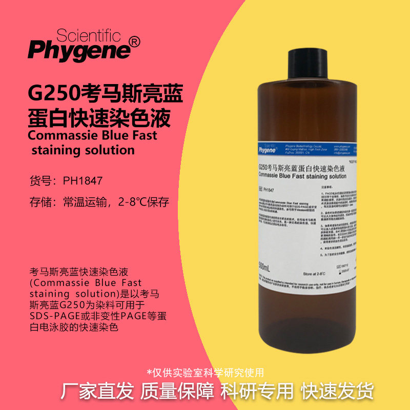 考马斯亮蓝快速染色液 G250染色液 100mL/500mL 电泳实验 可开票