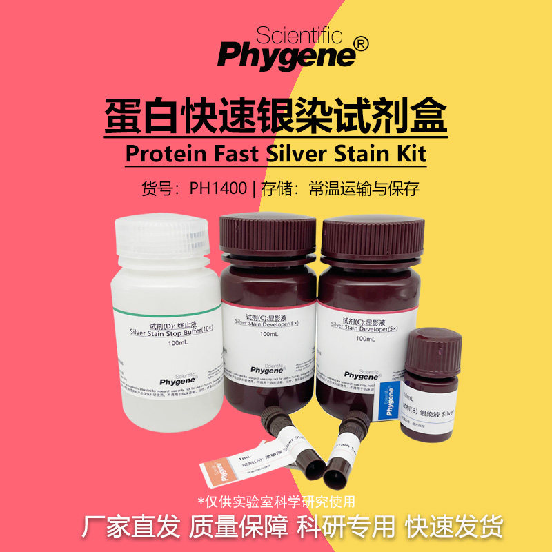 蛋白快速银染试剂盒 Protein Silver Stain Kit [PH1400 PHYGENE]