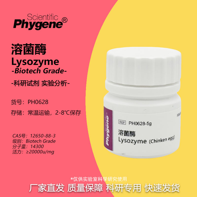 PH0628 溶菌酶 Lysozyme 试剂 实验专用 可开票 Phygene