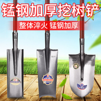 Agricultural tree shovel manganese steel thickening all steel shovel digging soil iron pry household iron shovel flat head wooden handle shovel grass tree root shovel