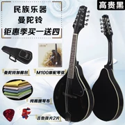 Net đỏ nhạc cụ phương Tây tám dây đàn mandolin đàn piano mandolin Tây Tạng đàn piano Nhạc cụ quốc gia âm thanh điện người đàn ông âm thanh rung