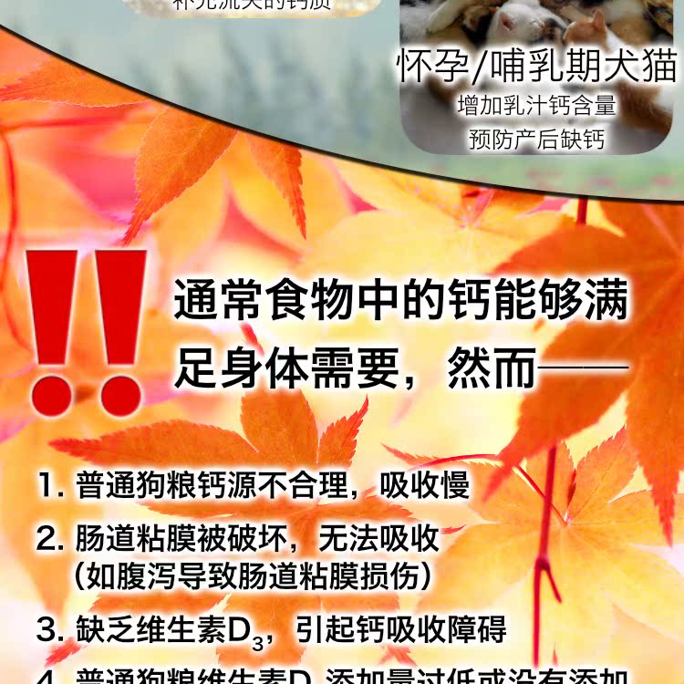 Newridge sức sống bổ sung canxi sức khỏe xương mèo và chó sức khỏe xương vitamin D3 thức ăn sức khỏe vật nuôi cho mèo con uống sữa gì