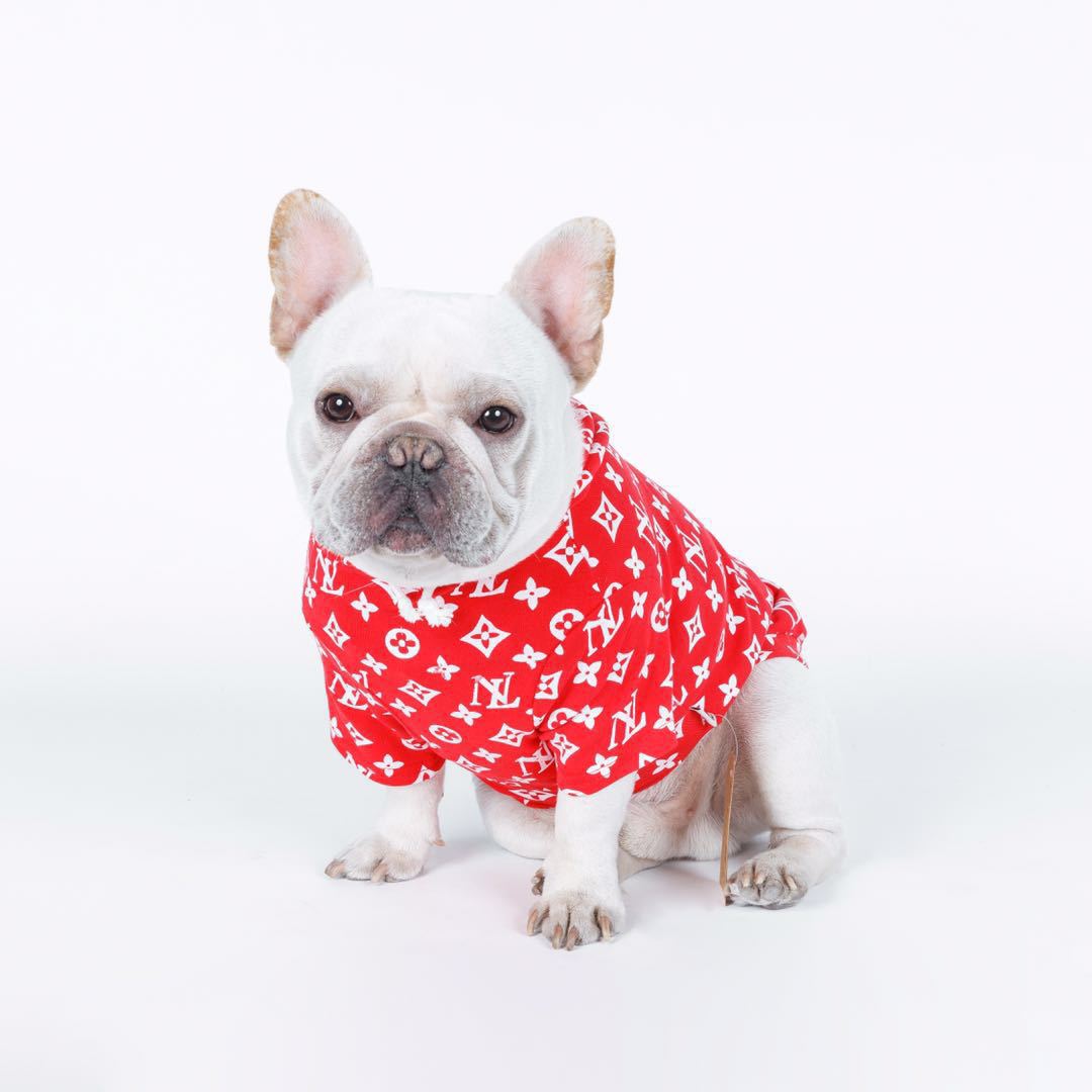 Quần áo chó mèo quần áo Teddy Bomei chiến đấu mùa xuân và mùa thu xu hướng mới quần áo cotton căng thú cưng - Quần áo & phụ kiện thú cưng áo dành cho mèo	