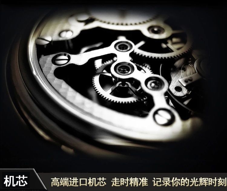 Langqi浪琪表业的LOGO