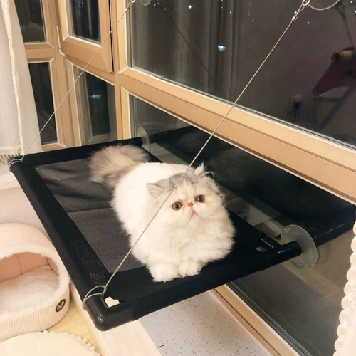 Кошка затруднена висящая окна подоконника кошачья гнездо солнцезащитная чашка для подвески для кошачья подвеска для домашних животных в летних гнездах кошки летом