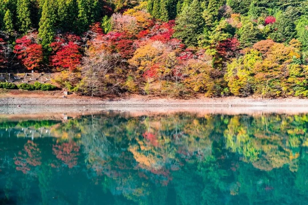 速看!2019日本最佳赏枫好去处推荐55