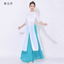 Dance Unbounded Belly Dance Practice Costume Sexy Cheongsam Dress Oriental Dance Table Performance Set