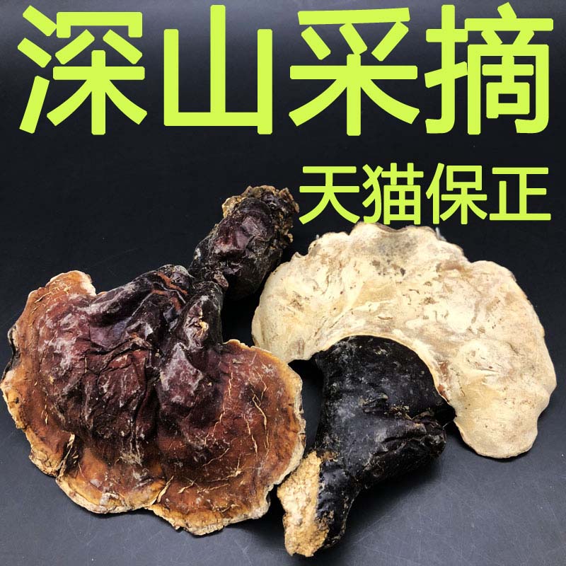 (Tmall Baozheng) Mountain Ziqing wild ganoderma lucidum Changbai Mountain deep mountain growth pine fir hemlock Ganoderma lucidum dry products