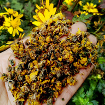 Guizhou wild chrysanthemum 250g Chinese herbal medicine wild chrysanthemum farmers self-drying health leaves grass boiled water bath
