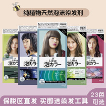 2021 popular color white liese Japanese flower King foam hair dye at home hair cream pure plant
