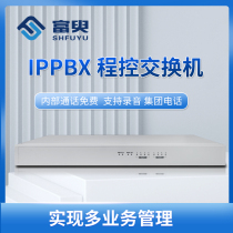 IP telephone switch IPPBX automatic switchboard 2 outside lines 200 extensions voice navigation IVR enterprise office