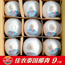 Jiannong Thailand imported coconut green box 9 pieces of about 850g fresh fruit perfume coconut to open coconut