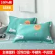 Vỏ gối bằng cotton nguyên chất Một đôi Gói 48 * 74cm Bông Twill Vỏ gối cho trẻ em Đơn cho trẻ em Vỏ gối - Gối trường hợp