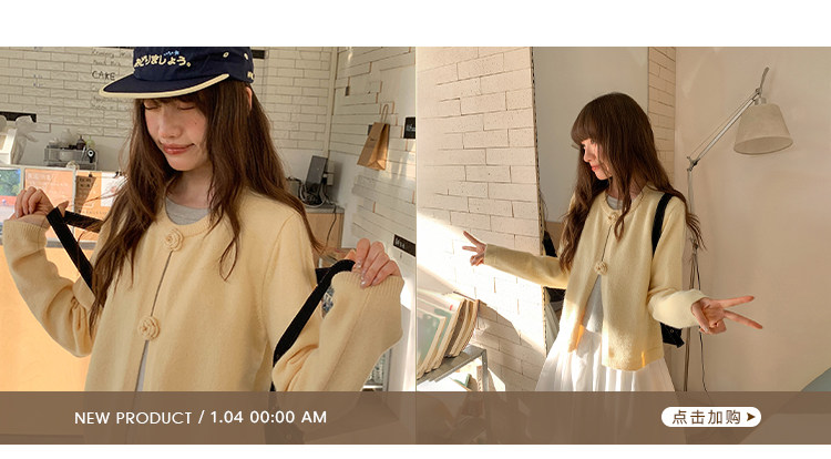 12.28-1.8 新品投放