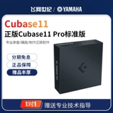 Steinberg/Yamaha Yamaha Cubase11/Pro Standard Edition Genuine Software 10.5 Версия обновления