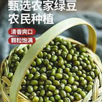 Northeastern mung beans fresh farm mung beans sproutable grains and oil particles plump meat thin skin and miscellaneous grains