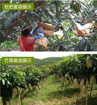 Grape paper bag special fruit bag cover imported whole wood pulp paper insect rainproof water grape bag full 100