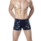 Giải phóng mặt bằng Quần lót nam Boxers modal cotton bốn góc tóm tắt quần trẻ trai quần lót nữ thun lạnh bóng