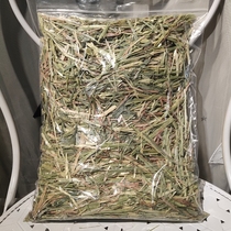 Spot import Australia one pressure green wheat grass section 500 grams 5 packs