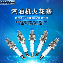 Gasoline engine pump pump medicine machine generator lawn mower two-punch spark plug 139F168F170F190FGX35