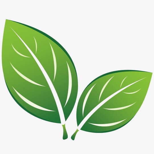 山东农友种业的LOGO