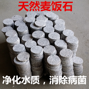 Parrot water purification Drinking water safety Maifanshi filter impurities Live water softens water quality