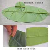 Моделирование банановое лист банановый лист над грифом фальшивый лист фальшивый листья банановые дерево витрина цветочный зеленый лист лист лист декоративный танец Proposa