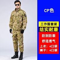 [CP Set] Износ -устойчивый и грязный сопротивление