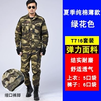 Чистый хлопок T716 [упругой набор] зеленый цветок