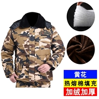 Утолщен бархатом [желтый хлопковый пальто]