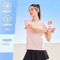 【2038】 -Salmon Порошок