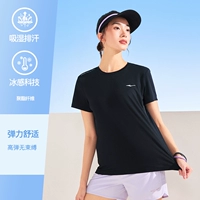 【2038】 -Zhenghei