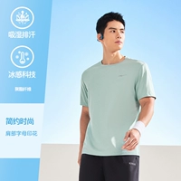 【2025】 -feather Green