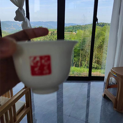 茗扬四海茶叶店  福鼎白茶的LOGO
