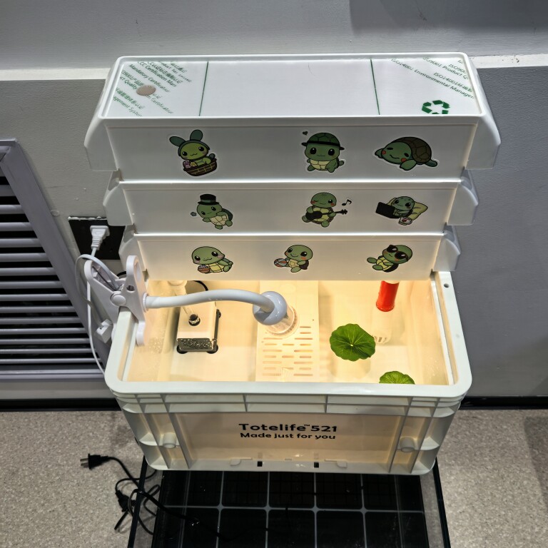 水缘阁水族