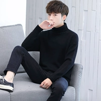 G116 [высокий воротник] черный