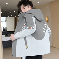 9916 Серый рис