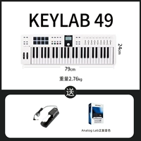 Новый важный вариант третьего поколения 49 клавиш + педаль + набор расположения