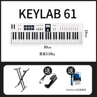 Новый важный вариант третьего поколения 61 ключ + педаль + подставка для фортепиано + набор расположения