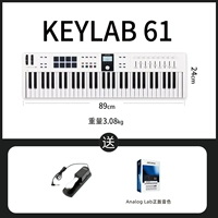 Новый основной важный набор белых 61 клавиши 61.