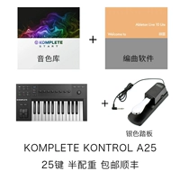 A25 (25 -ключ к ключке)+педали