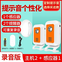 E. [Модель записи] Host 2+ Датчик 1